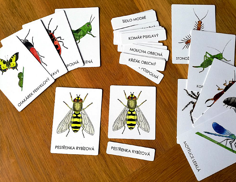 příroda do kapsy třísložkové karty hmyz a jiní bezobratlí 1
