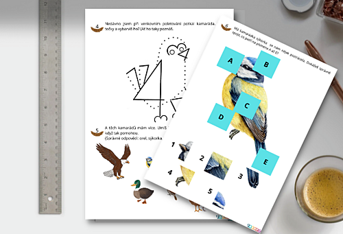 materiály pro děti Mezinárodní den ptactva